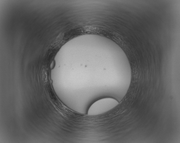 X0000054420703200507290926