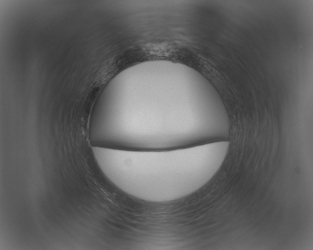 X0000054420707200507290926