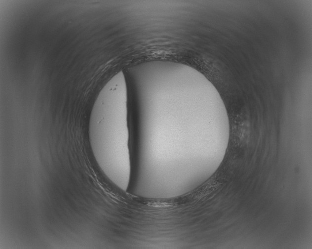 X0000054420710200507290926