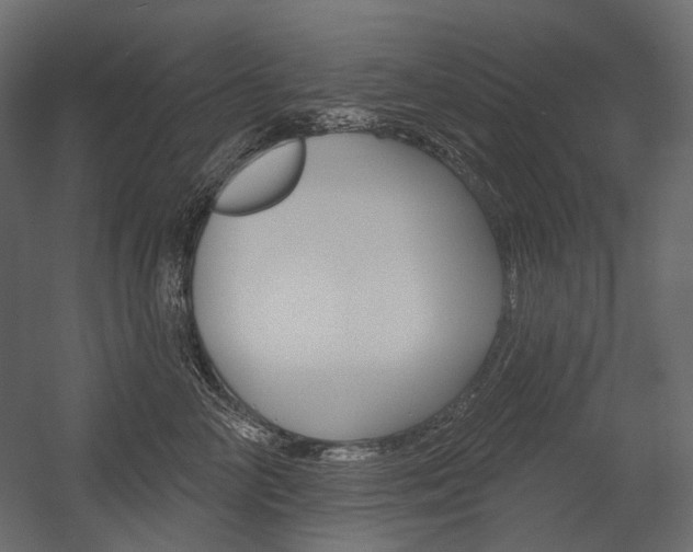 X0000054420714200507290926