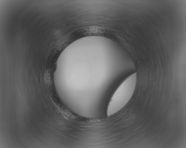 X0000054420715200507290926