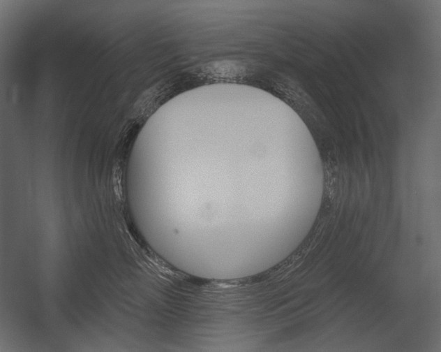 X0000054420718200507290926