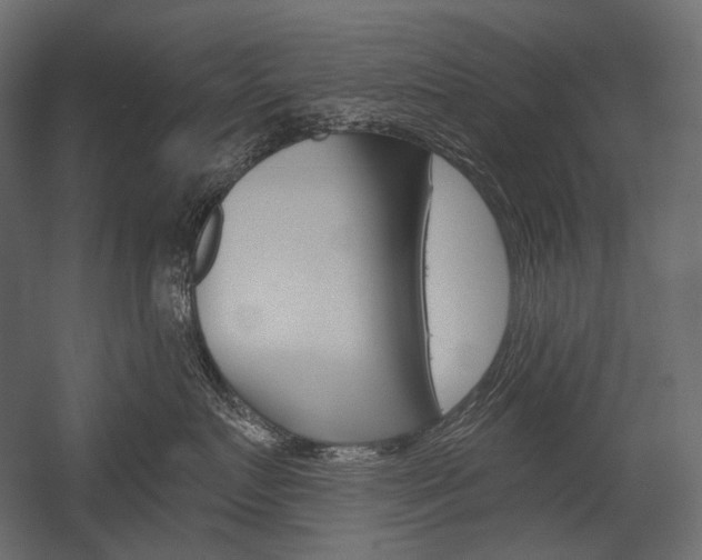 X0000054420719200507290926