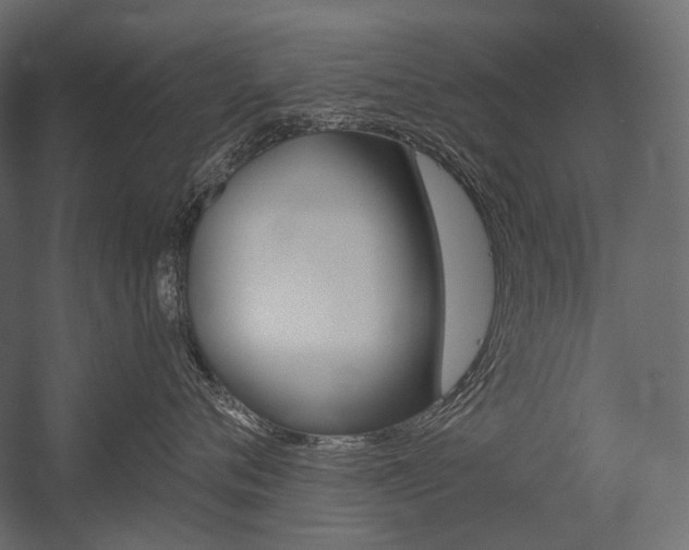 X0000054420720200507290926