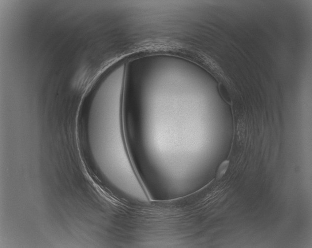 X0000054420722200507290925