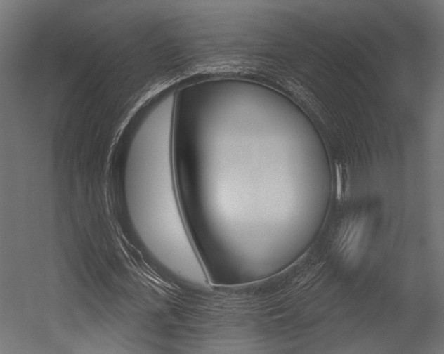 X0000054420723200507290925