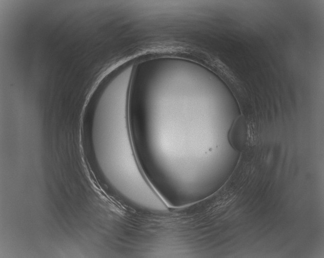 X0000054420724200507290925