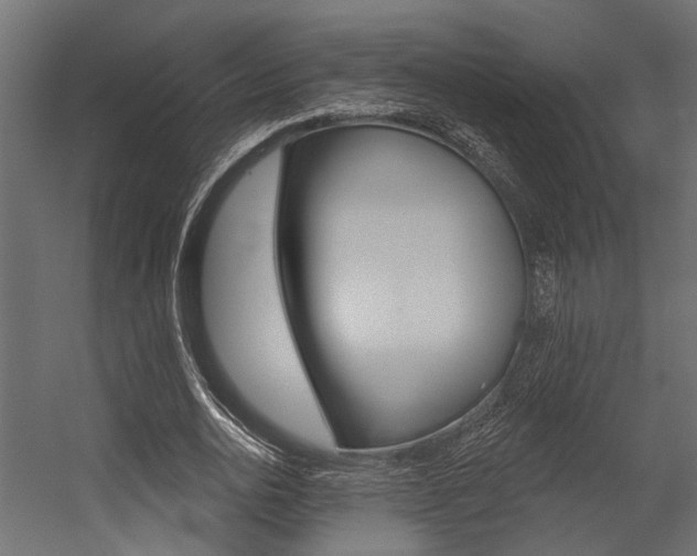 X0000054420726200507290925