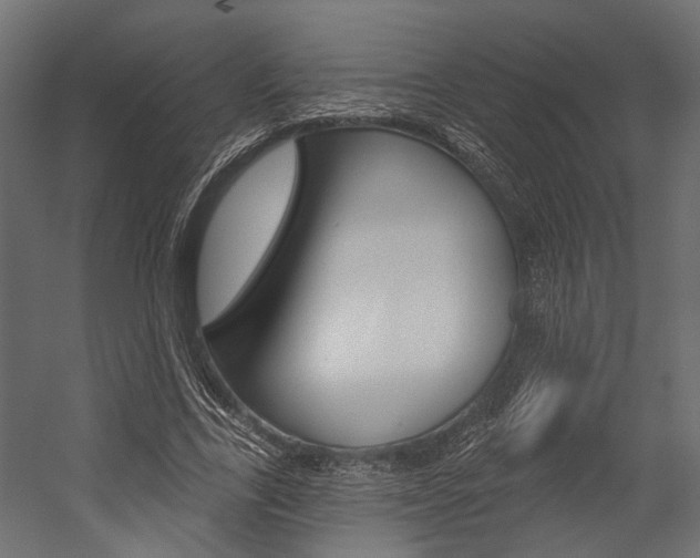 X0000054420731200507290925