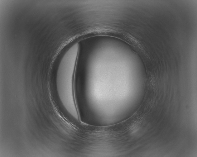 X0000054420732200507290925