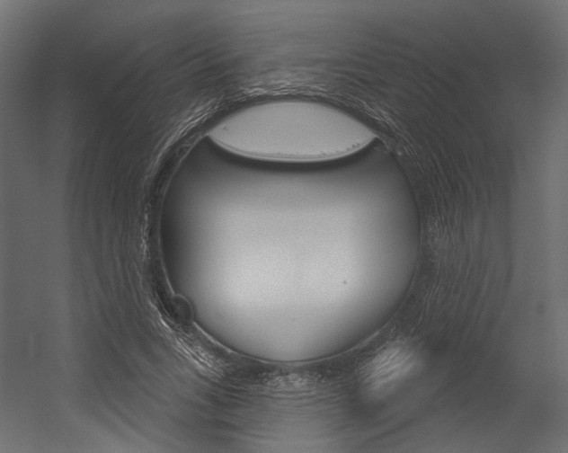 X0000054420735200507290925