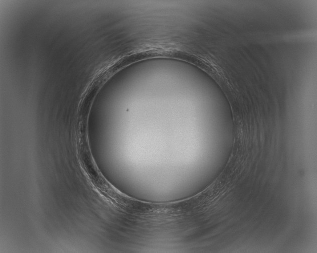 X0000054420736200507290925