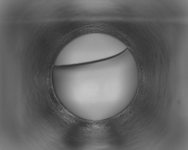 X0000054420737200507290925
