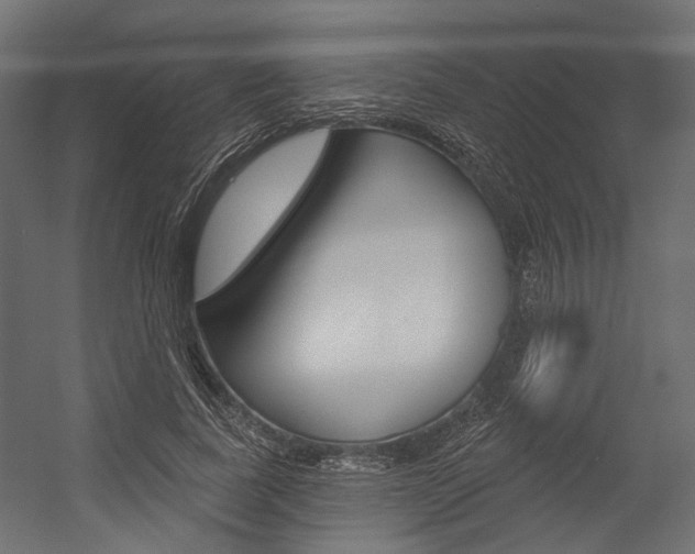 X0000054420739200507290925