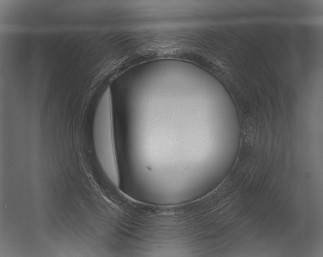 X0000054420740200507290925