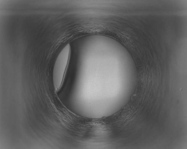X0000054420743200507290925