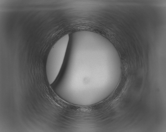 X0000054420745200507290925
