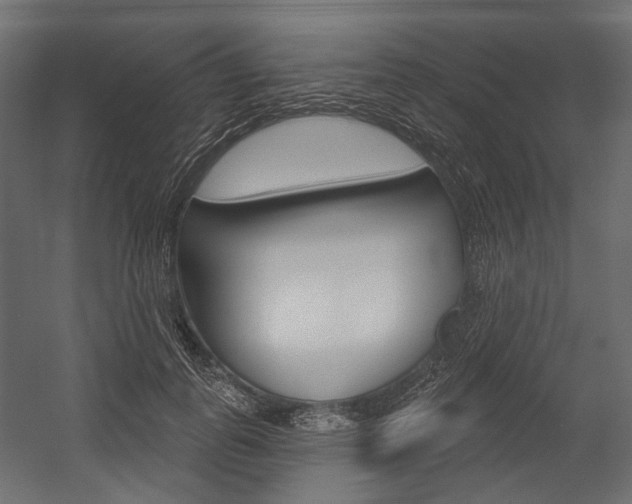 X0000054420747200507290925