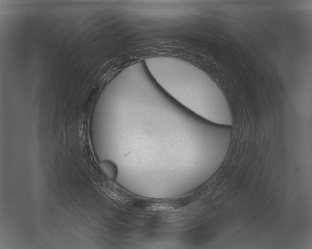 X0000054420749200507290925
