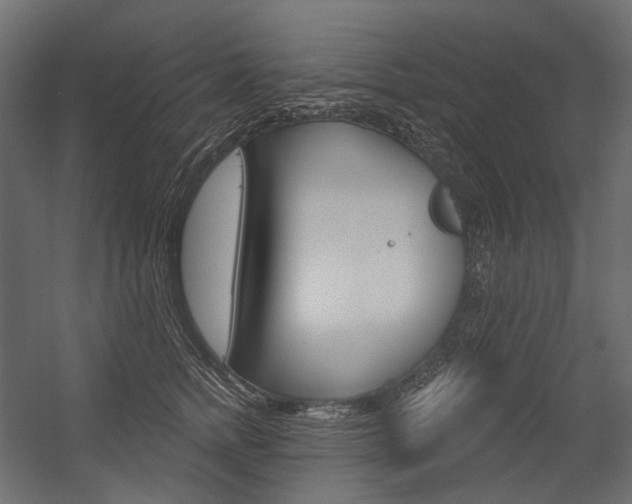 X0000054420758200507290926