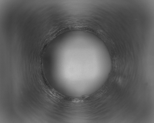 X0000054420760200507290926