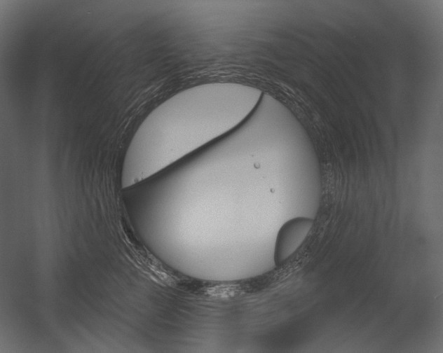 X0000054420761200507290926