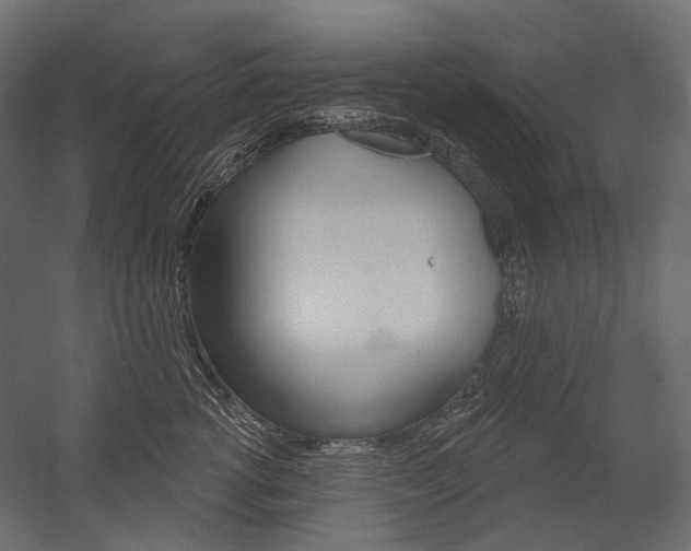 X0000054420762200507290926