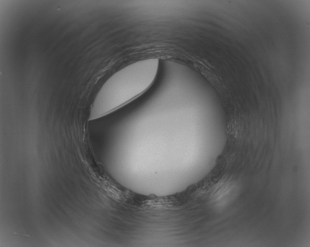 X0000054420763200507290926