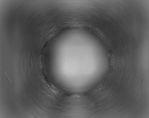 X0000054420764200507290926