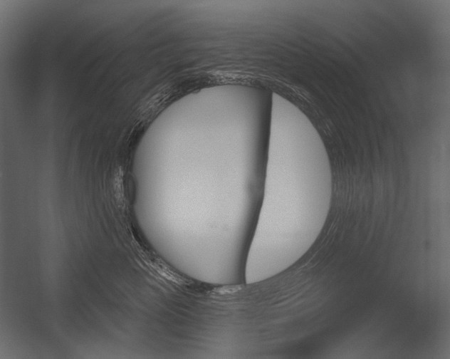 X0000054420765200507290926