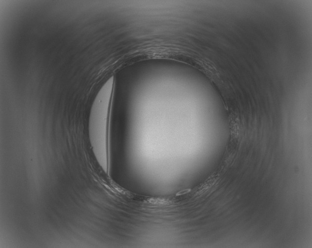 X0000054420766200507290926