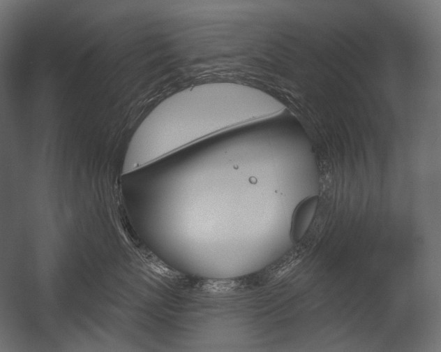 X0000054420767200507290926