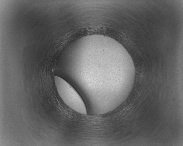 X0000054420770200507290925