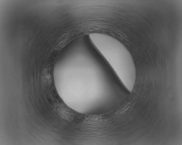 X0000054420771200507290925