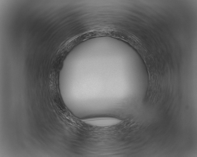 X0000054420773200507290925