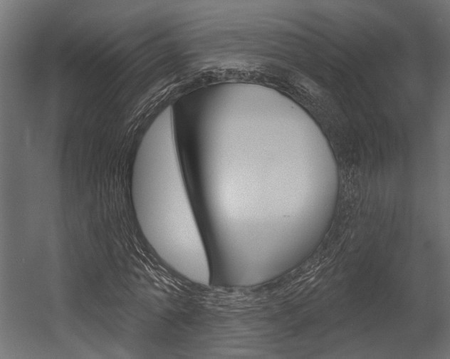 X0000054420774200507290925