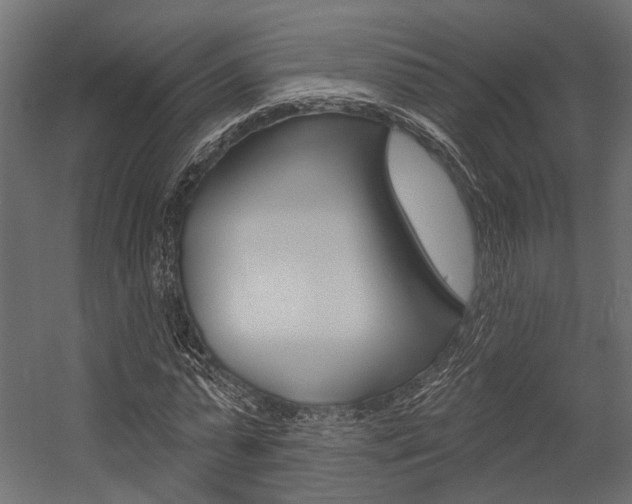 X0000054420775200507290925