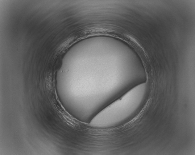 X0000054420777200507290925