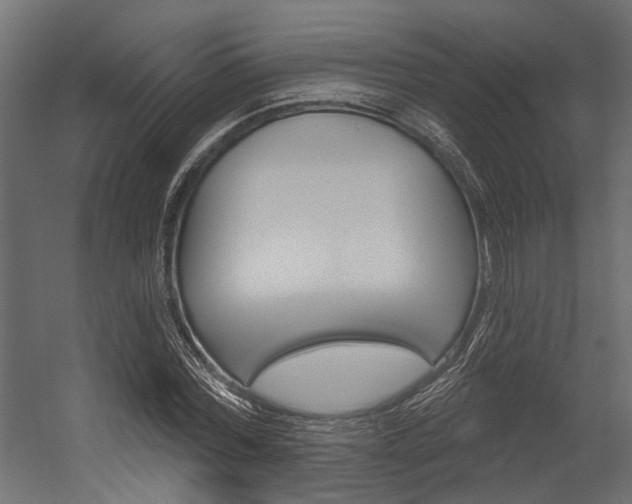 X0000054420780200507290925