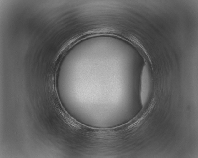 X0000054420781200507290925