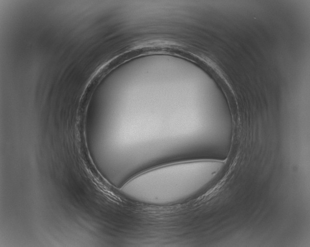 X0000054420783200507290925