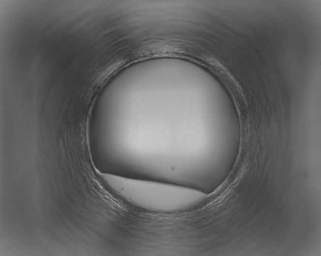 X0000054420785200507290925