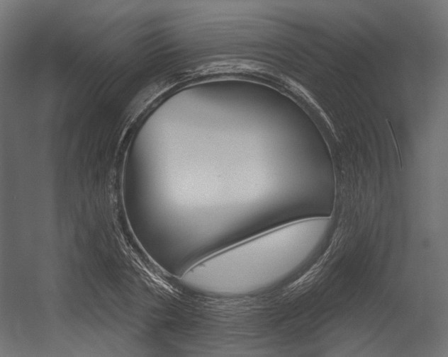 X0000054420786200507290925