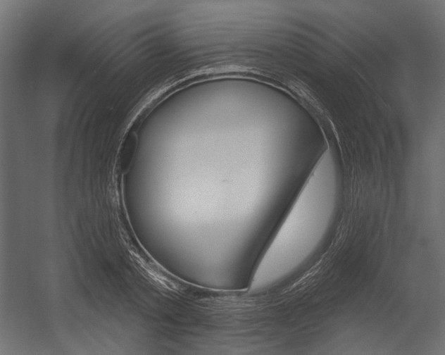 X0000054420789200507290925