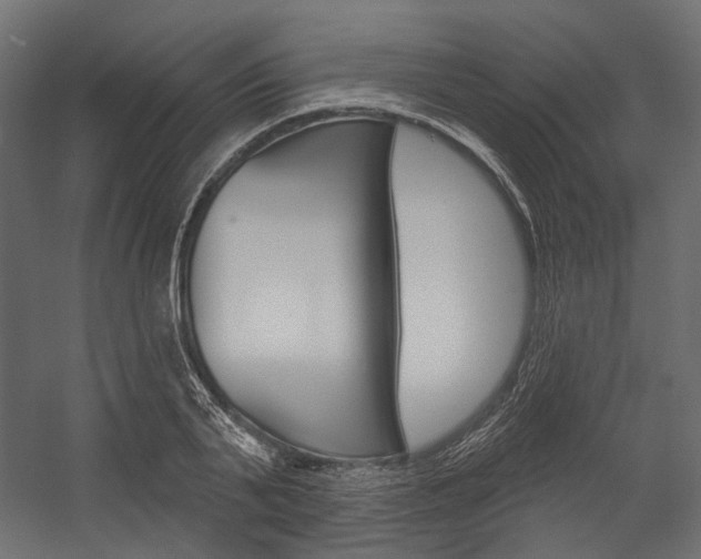 X0000054420791200507290924