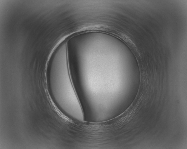 X0000054420792200507290924
