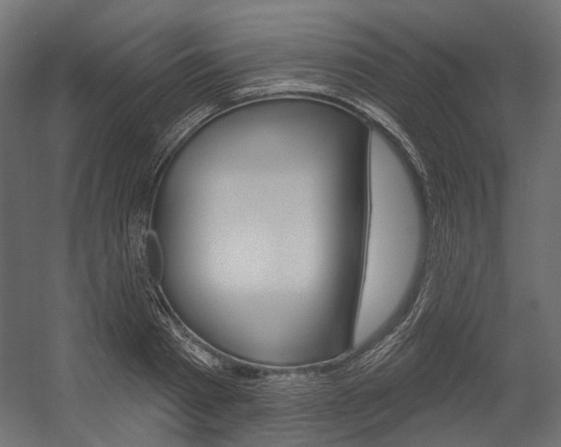 X0000054420793200507290924