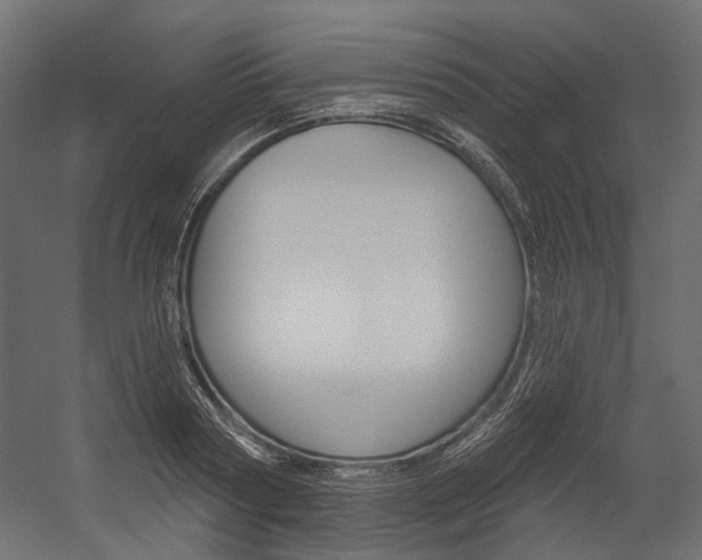 X0000054420794200507290924