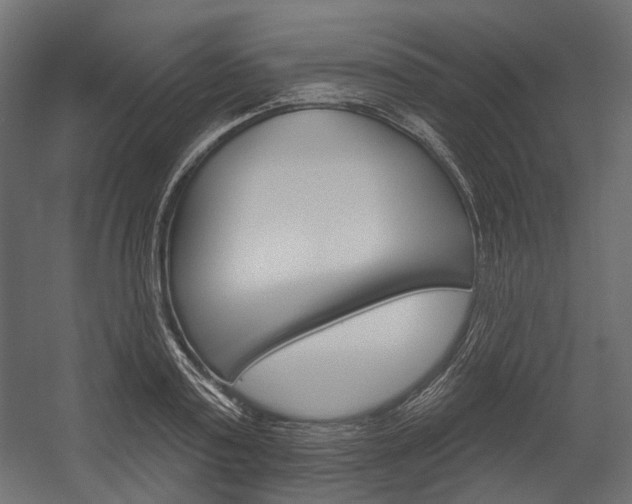 X0000054420795200507290924