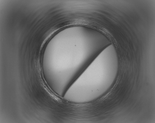 X0000054420796200507290924